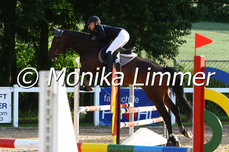 006M6219_Calario_Springpferde A.JPG